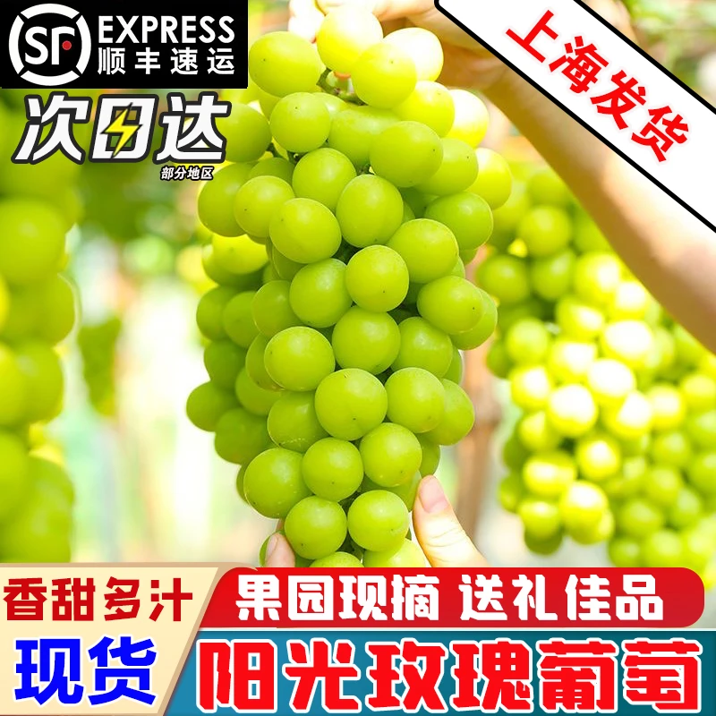 【顺丰包邮】阳光玫瑰葡萄晴王葡萄无籽葡萄香印青提水果新鲜当季
