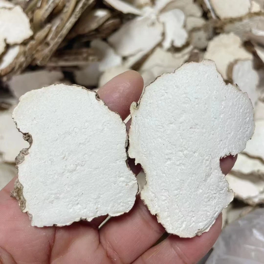 【御膳】虎乃菌 罐装 （胶）