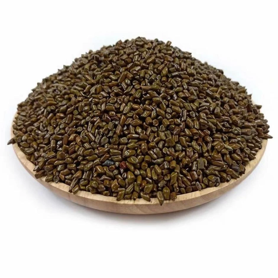 生决明子农家正宗纯天然决明子