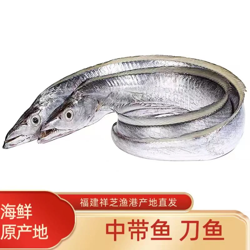 福建海鲜 野生深海黑眼带鱼 油带