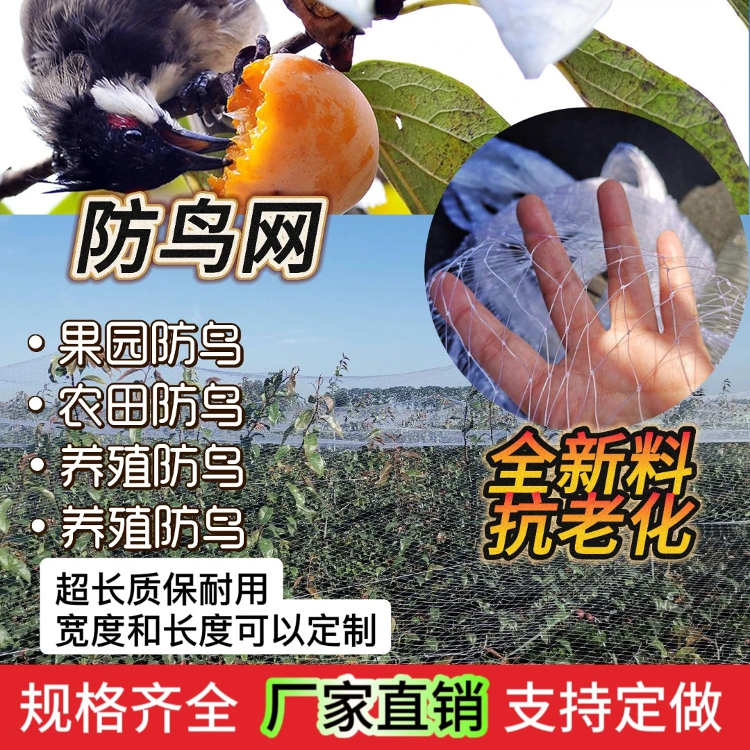 果园防鸟网防雹网养殖种植网尼龙鸟网菜园防鸟网鱼线材质鸟网抗晒