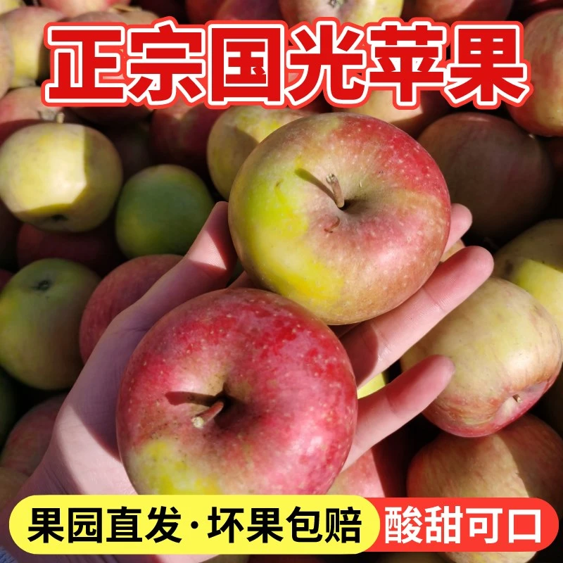 酸甜可口，不套袋，不打蜡，国光苹果