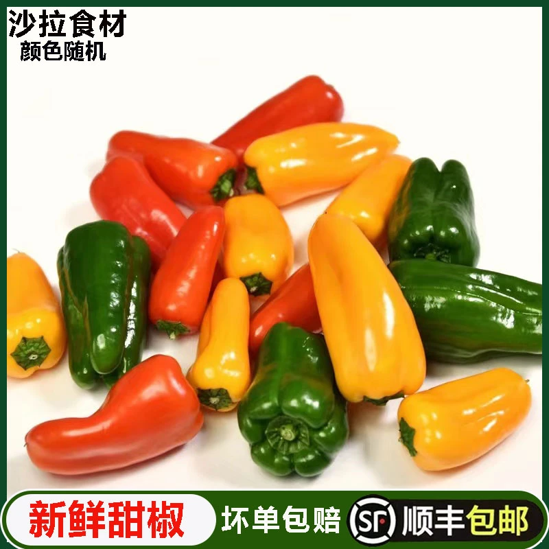 新鲜水果彩椒500g甜椒迷你小辣椒红黄青小彩椒西餐沙拉蔬菜食材