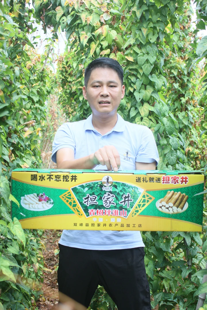担家井青树坪淮山·软粘糯粉·自种新鲜采挖·湖南特产·顺丰包邮