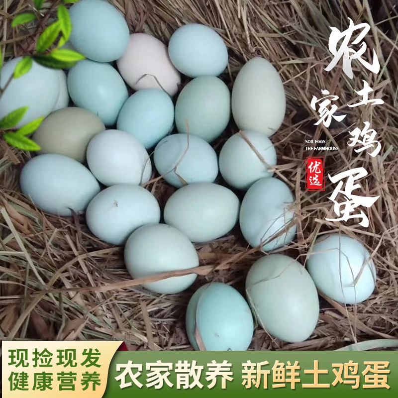 【50枚绿壳开窝蛋】新鲜现捡100%无菌蛋可生食自产自销
