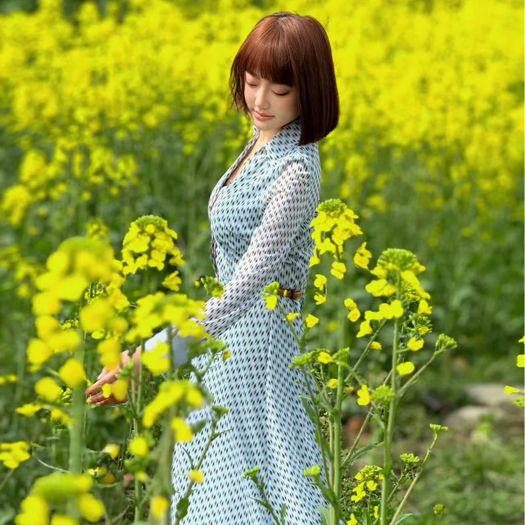 连衣裙女2024春季梦里人新款polo领通勤气质印花中长裙8289-4044