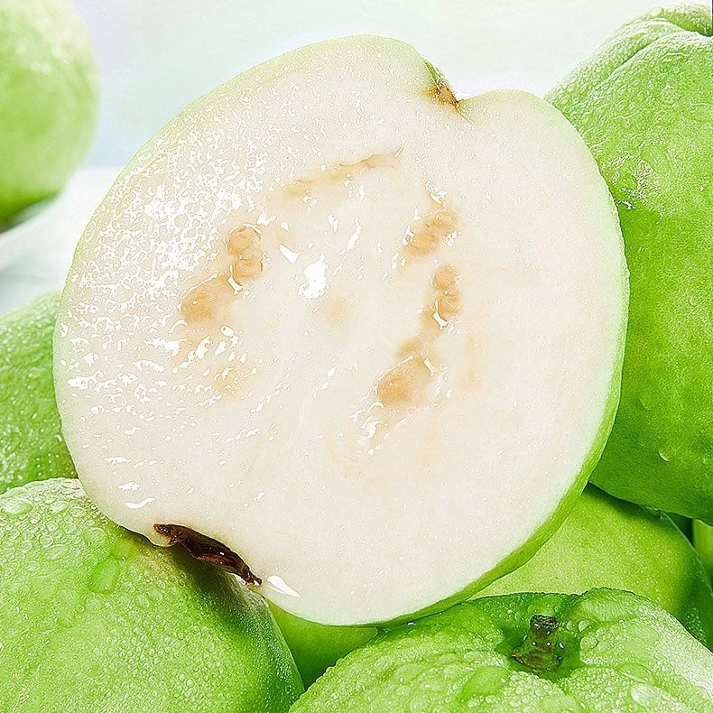 自家果园现摘广东阳春特产新鲜芭乐白心番石榴水果当季脆甜5斤装