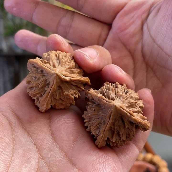 桃核把件37尺全品白茬李学超三棱CN0475