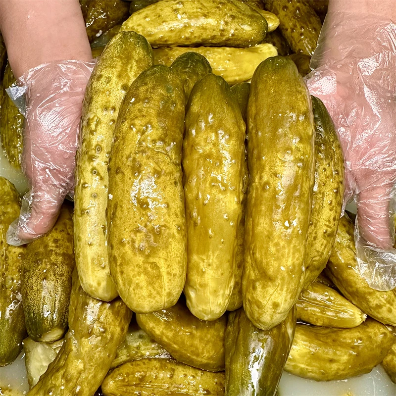 杨巧妹家的老坛酸水泡酸黄瓜脆嫩多汁酸味正开袋即食1000克袋装