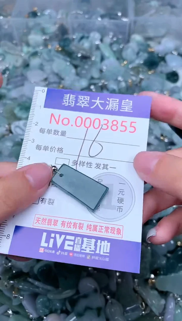 【闪购商品】翡翠颈饰未镶嵌00003855