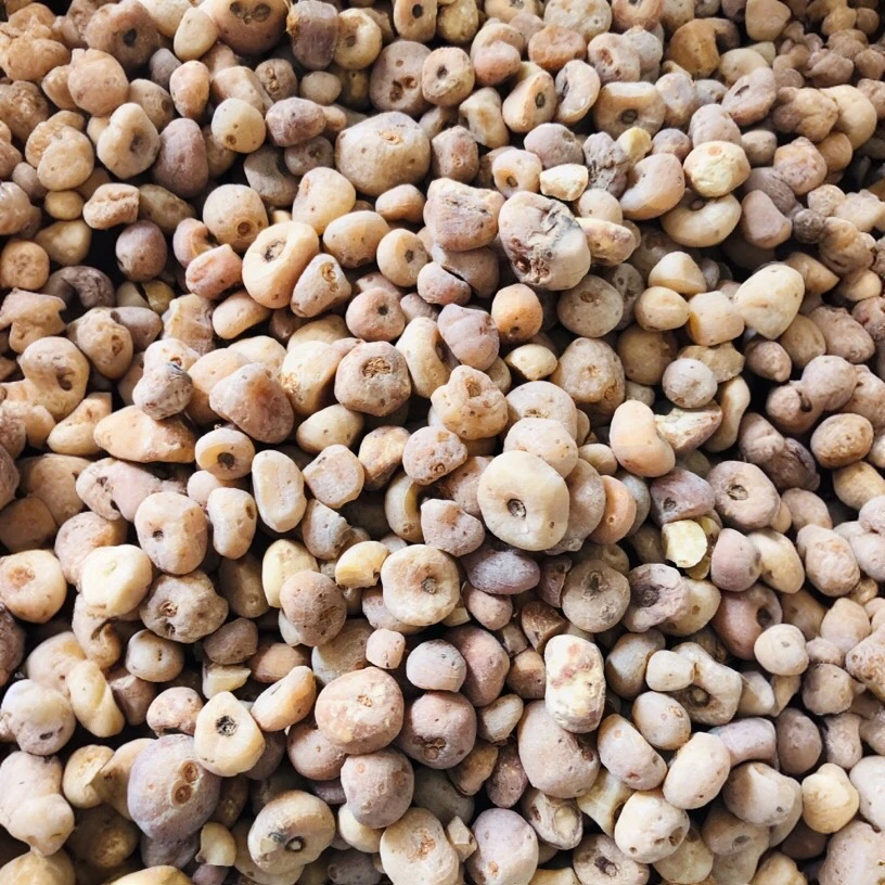【子衿山货】云南下山货 玉-皇-丹500g