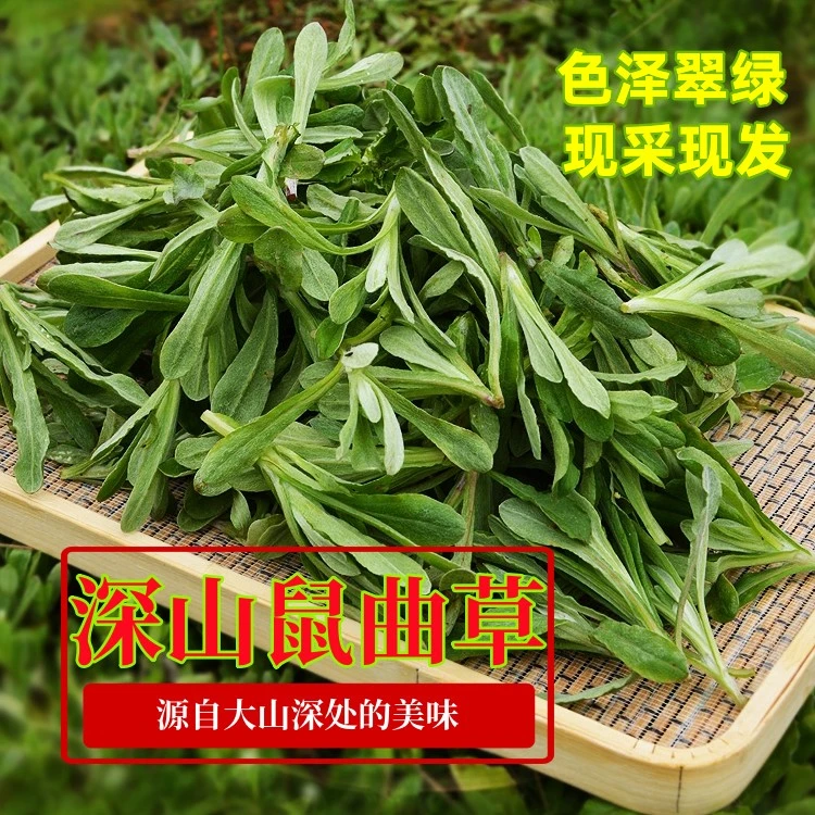 鼠曲草 新鲜现摘清明草 酒壳草毛棉野菜 佛耳绒青团材料1斤2斤3斤