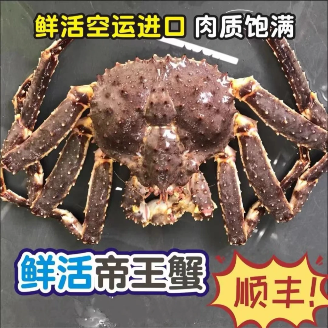 鲜活帝王蟹 包活到家 多仓发货 失水5%重量损耗