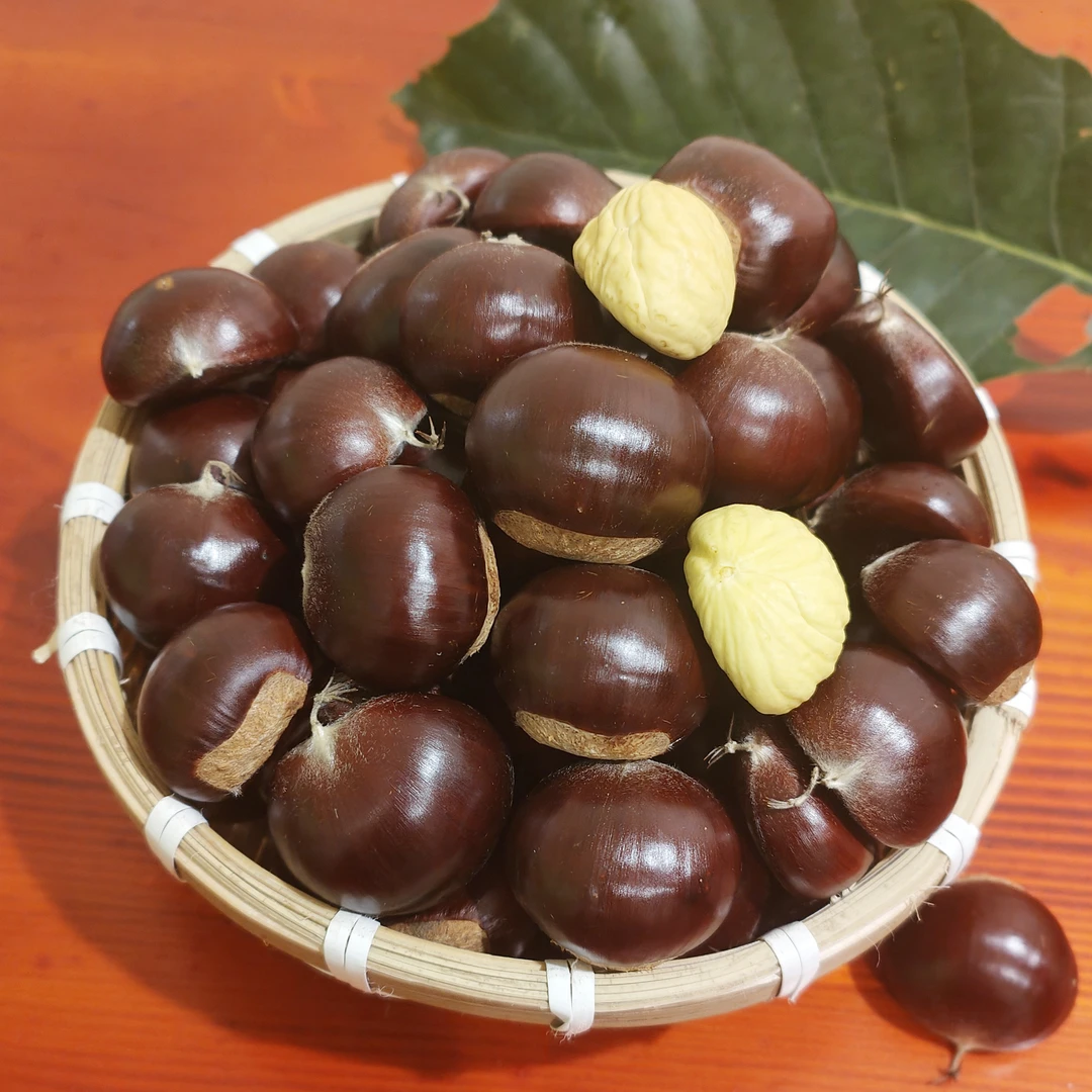 【中果】燕山板栗迁西栗子生板栗软糯香甜好剥皮老树板栗