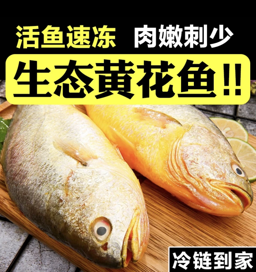 新鲜大黄鱼（顺丰包邮，个别有擦伤）