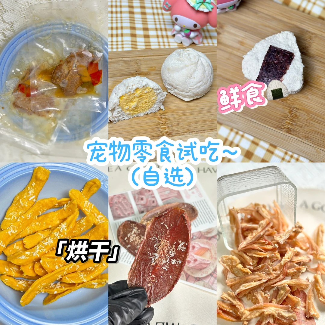 对对碰专拍链接宠物零食 | 1碰5元