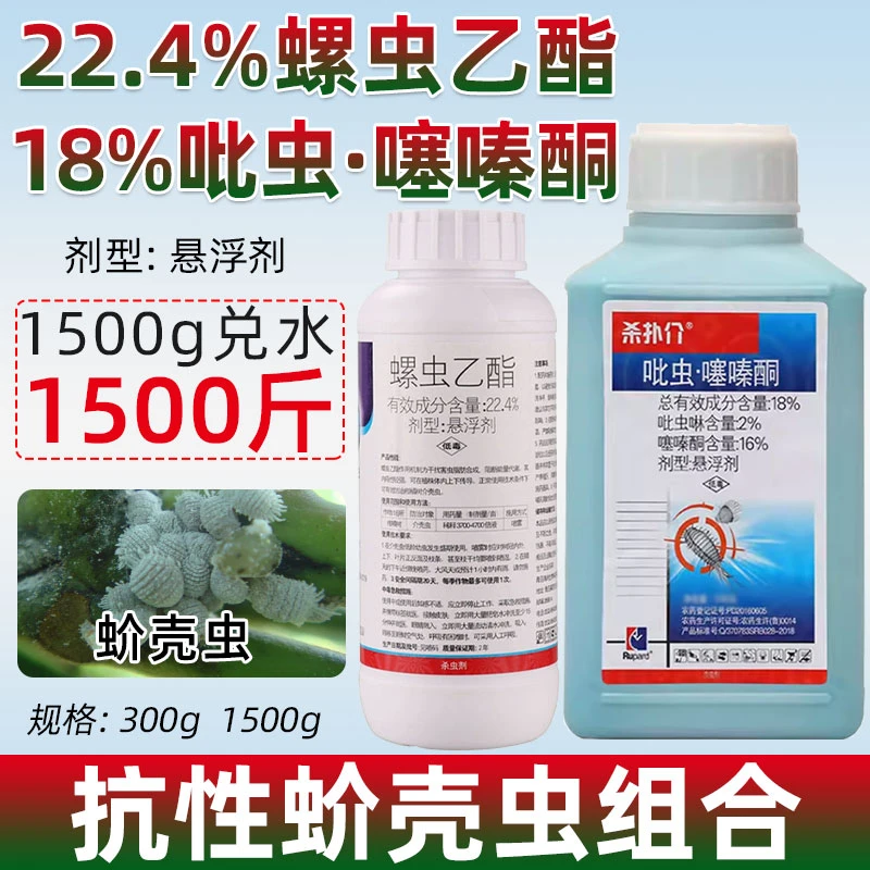 柿子树蚧壳虫专用杀虫剂蚧壳虫专用药螺虫乙酯吡虫噻嗪酮组合套外