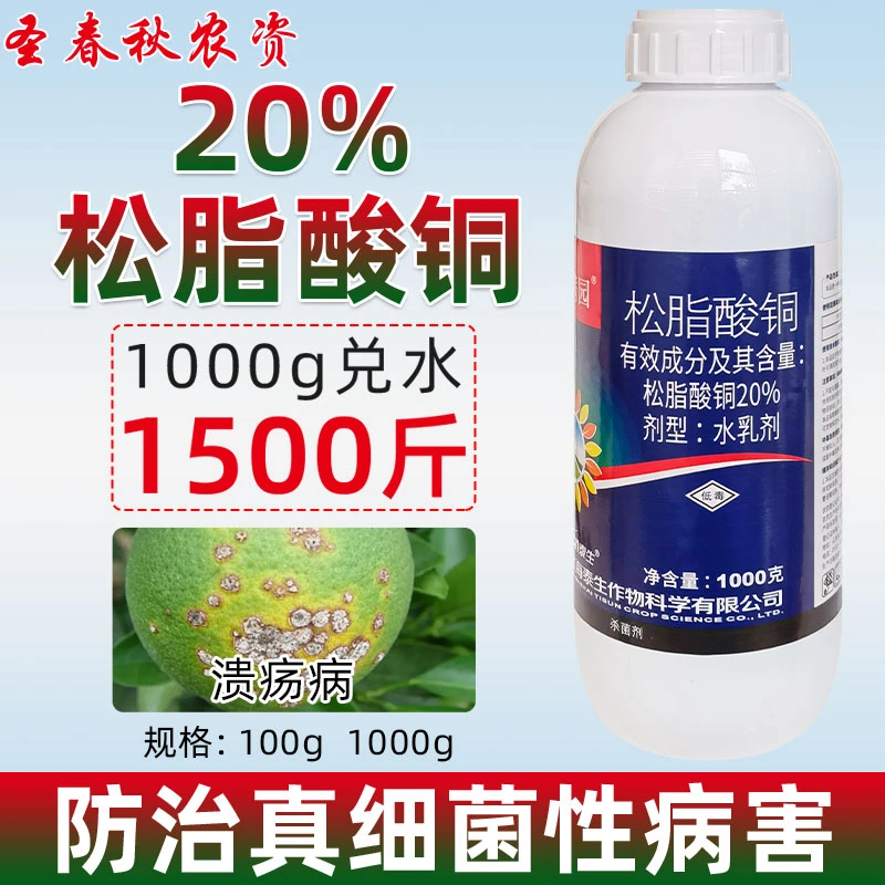 松脂酸酮杀菌剂松脂酸铜柑橘果树溃疡病霜霉病炭疽角斑病专用农药