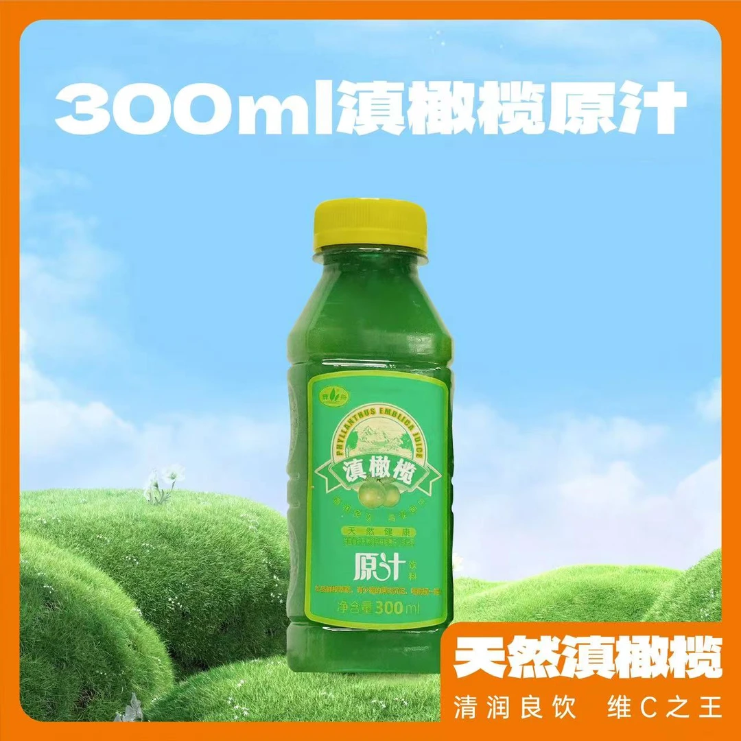 彝舟话痨神器云南高原特色彝舟滇橄榄纯原汁300ML
