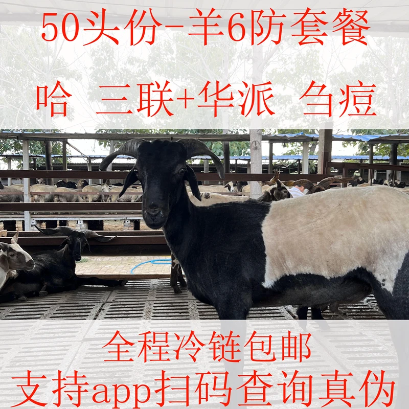 养羊常用的常备用品-50支羊用产品6防套餐