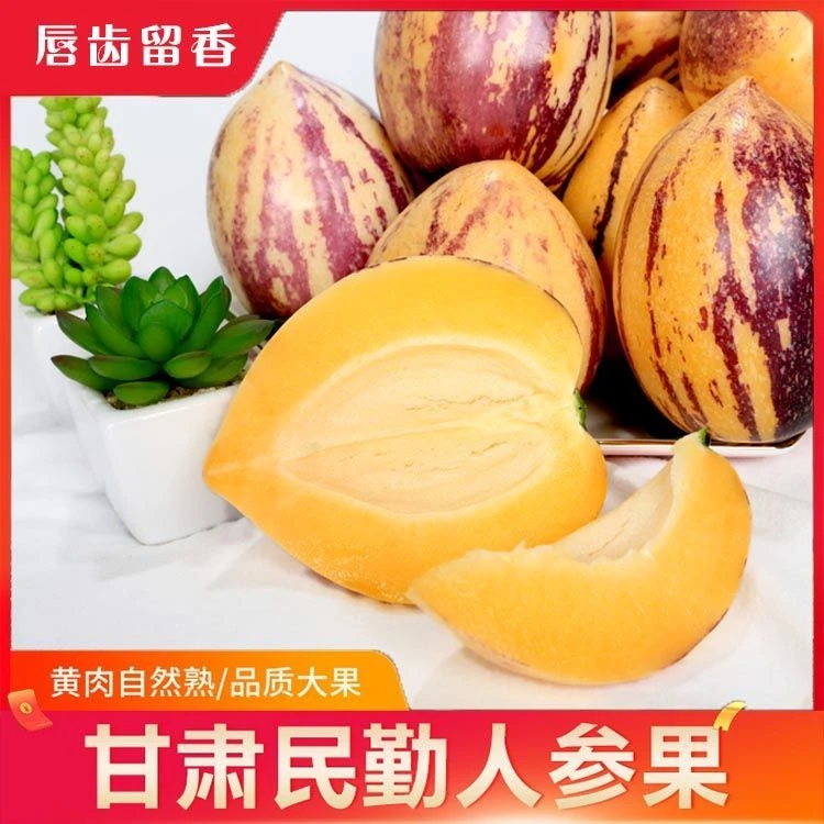 【产地直发】甘肃民勤低糖新鲜人参果水果孕妇果现摘现发5/8斤包邮