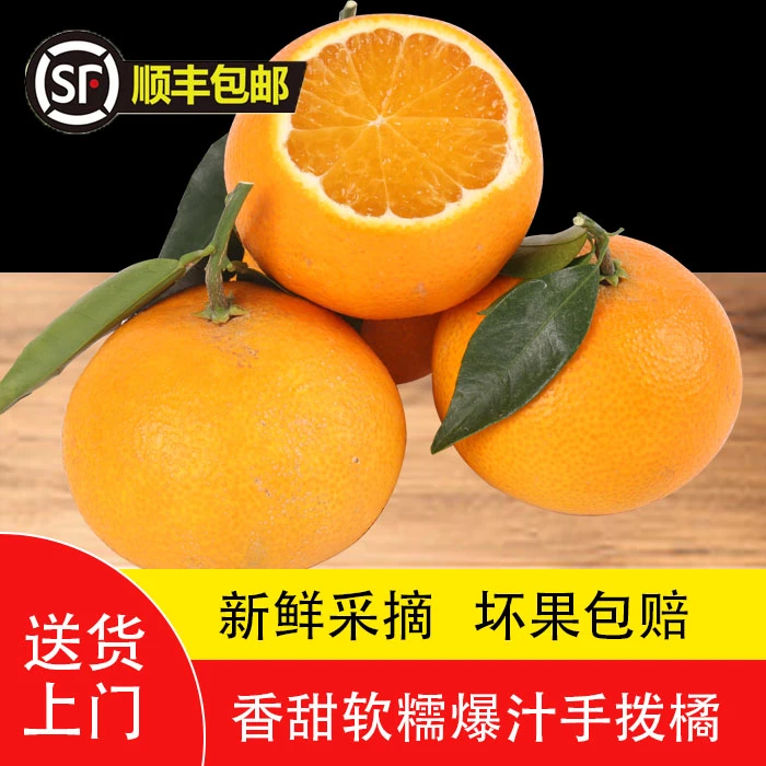 东浦应季水果红美人柑橘果冻鲜嫩多汁新鲜软糯香甜现摘现发礼盒装