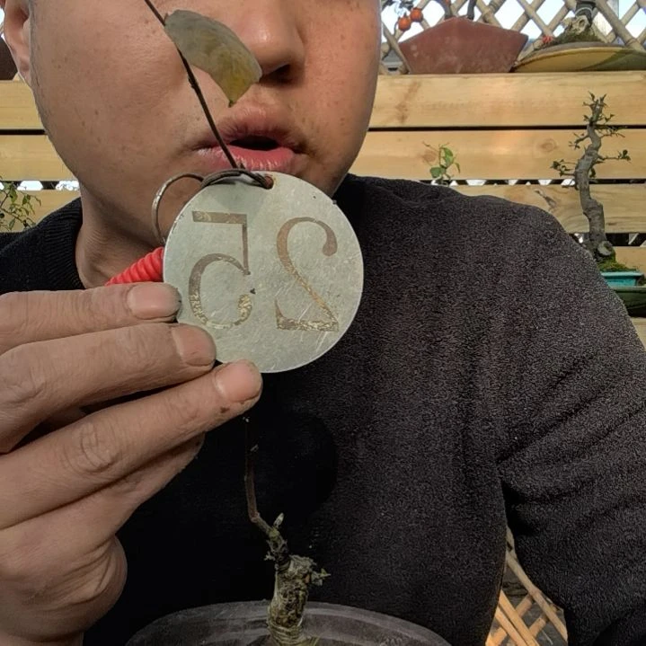 【闪购商品】啊*金弹子