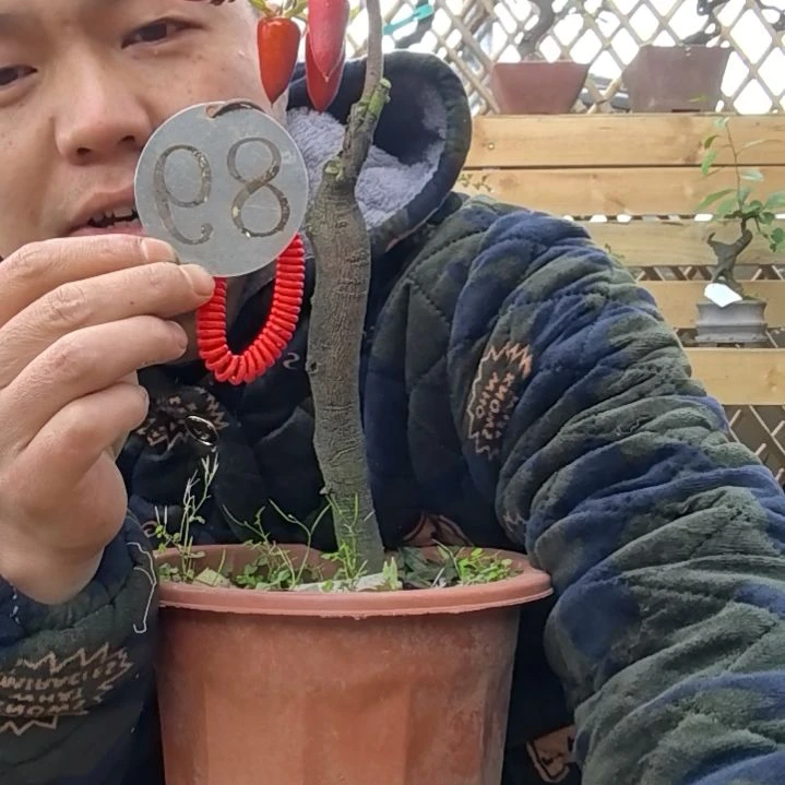 【闪购商品】厚**家