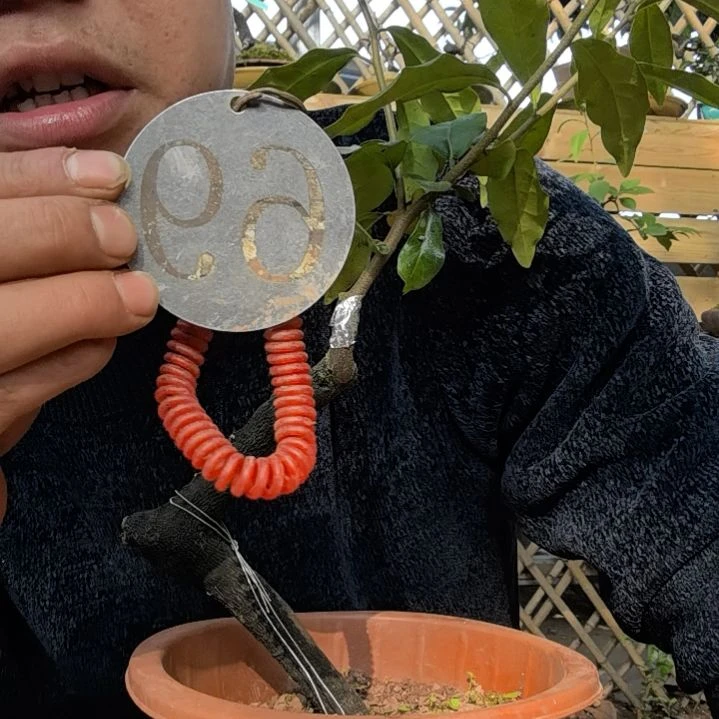 【闪购商品】张*芳