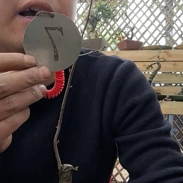 【闪购商品】?**?金弹子老鸭是这样的亲