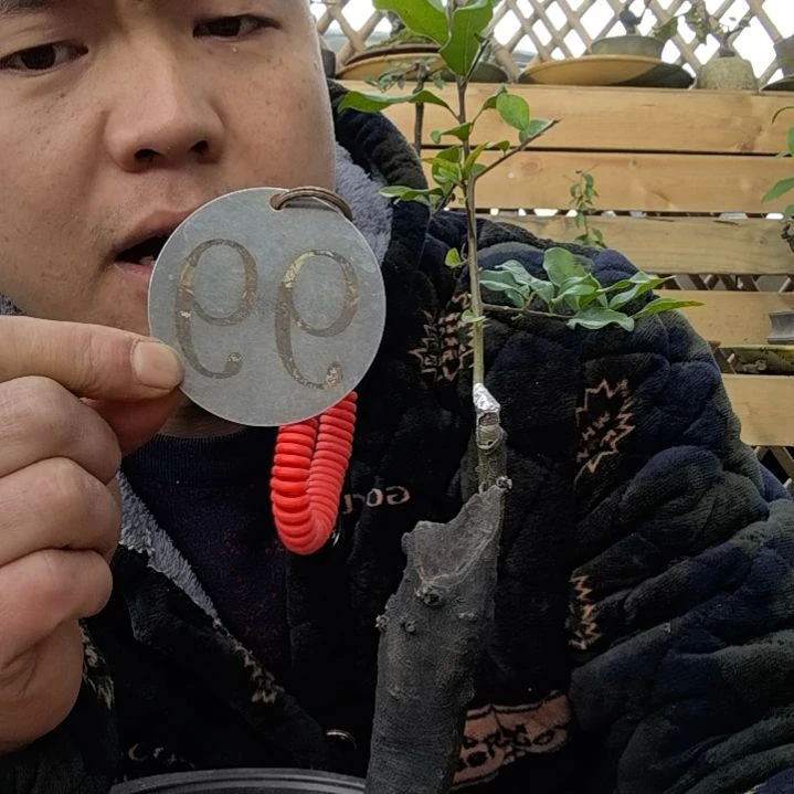 【闪购商品】_****。