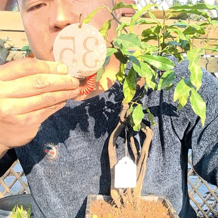 【闪购商品】纳*熙