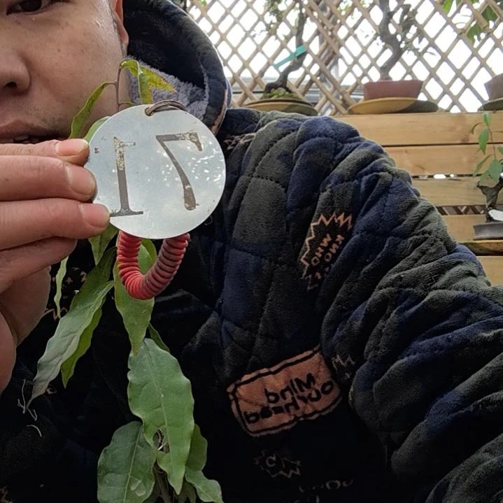 【闪购商品】@*空金弹子老鸭是这样的亲