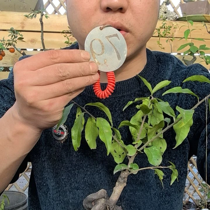 【闪购商品】旗****✨