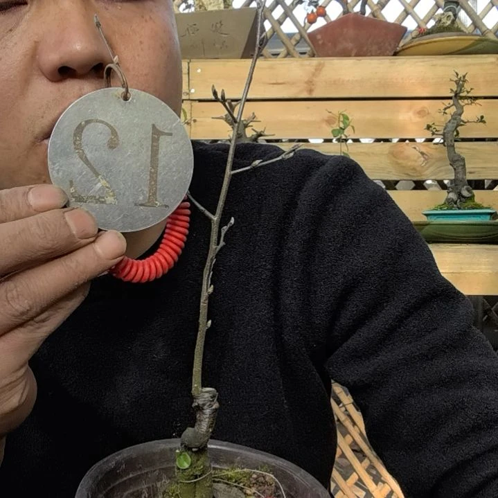 【闪购商品】随**?