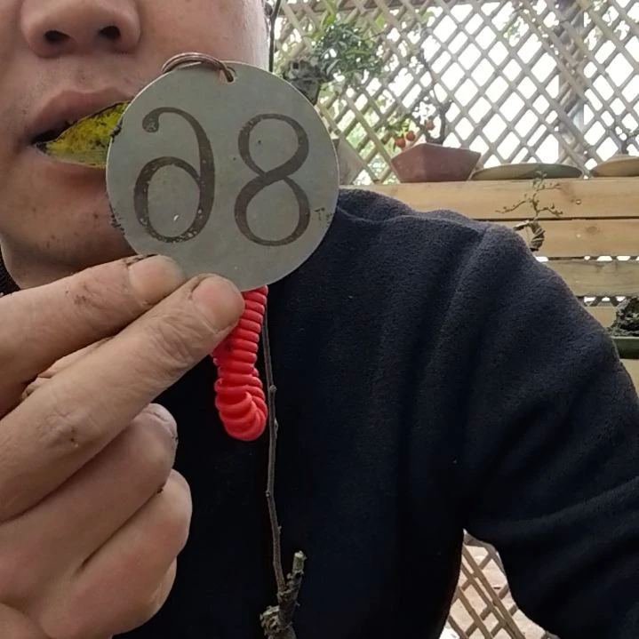 【闪购商品】人***上