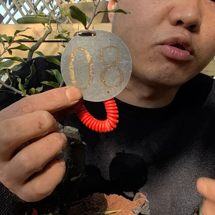 【闪购商品】禄**安