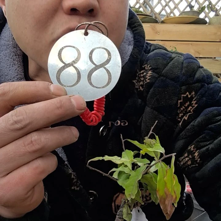 【闪购商品】生****戏