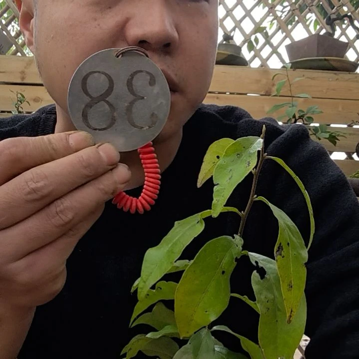 【闪购商品】A*金弹子