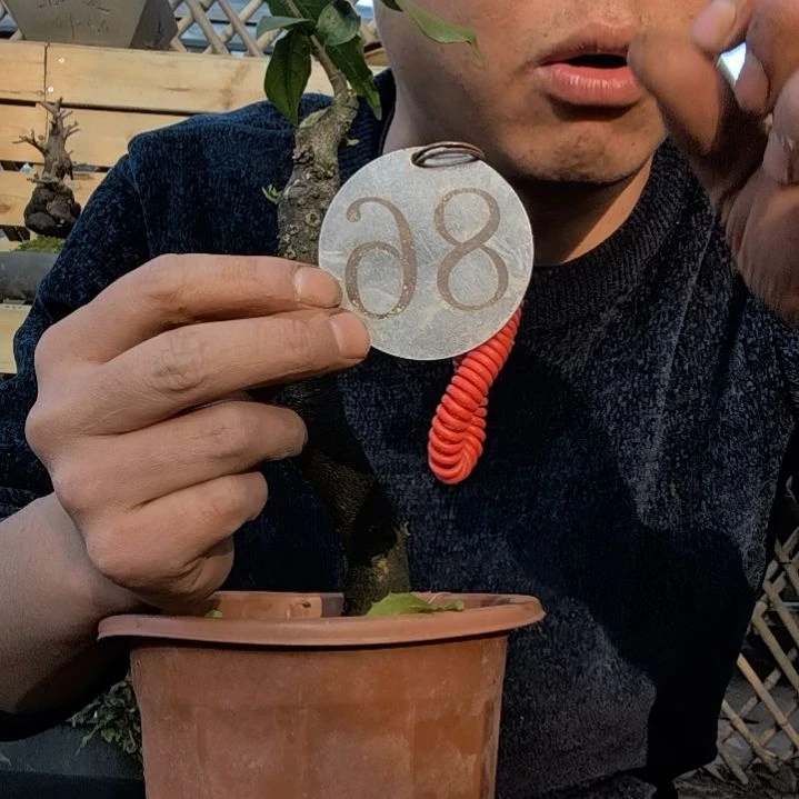 【闪购商品】为**息