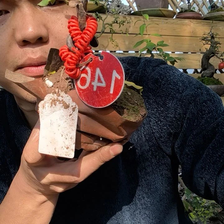 【闪购商品】?****?