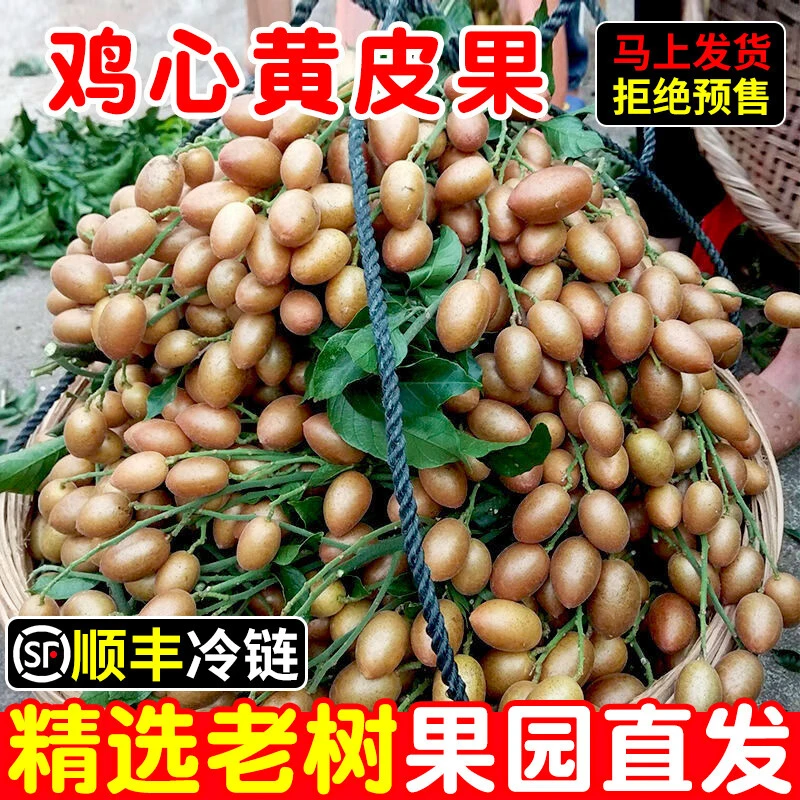 正宗广东冰冻鸡心黄皮果黄皮现摘稀奇古怪的水果当季爽口孕妇水果