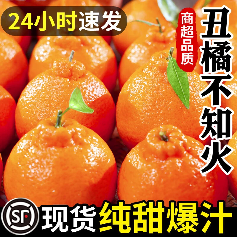 正宗四川不知火丑橘新鲜整箱水果应当季粑粑丑八怪柑橘耙耙桔子