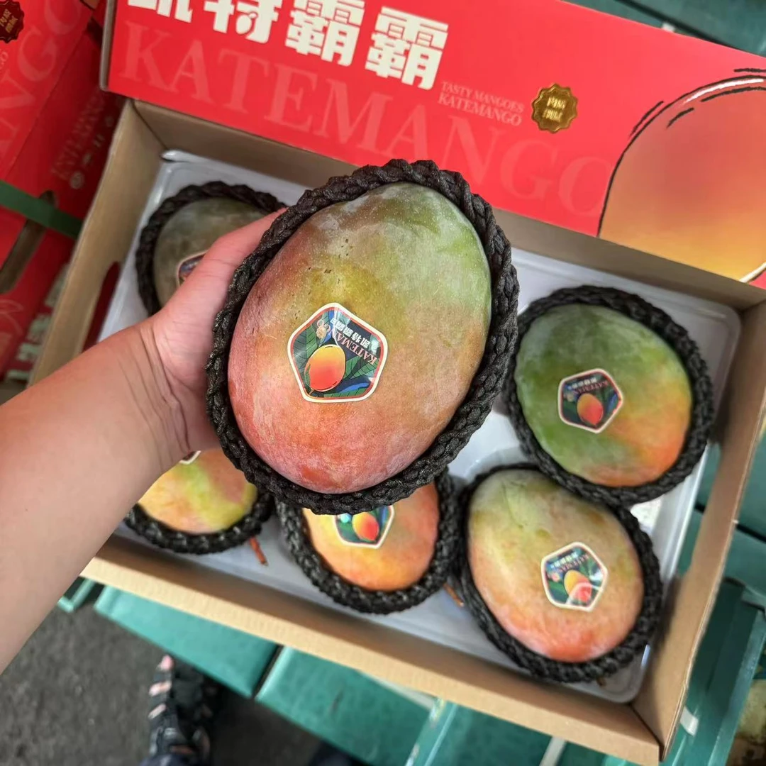 攀枝花芒果 凯特芒 新鲜水果当季特大芒果8斤装水果礼盒