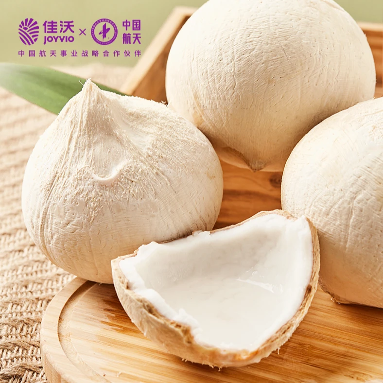 【佳沃】泰国丹嫩沙朵 老树椰皇6个装 小果/中果/大果