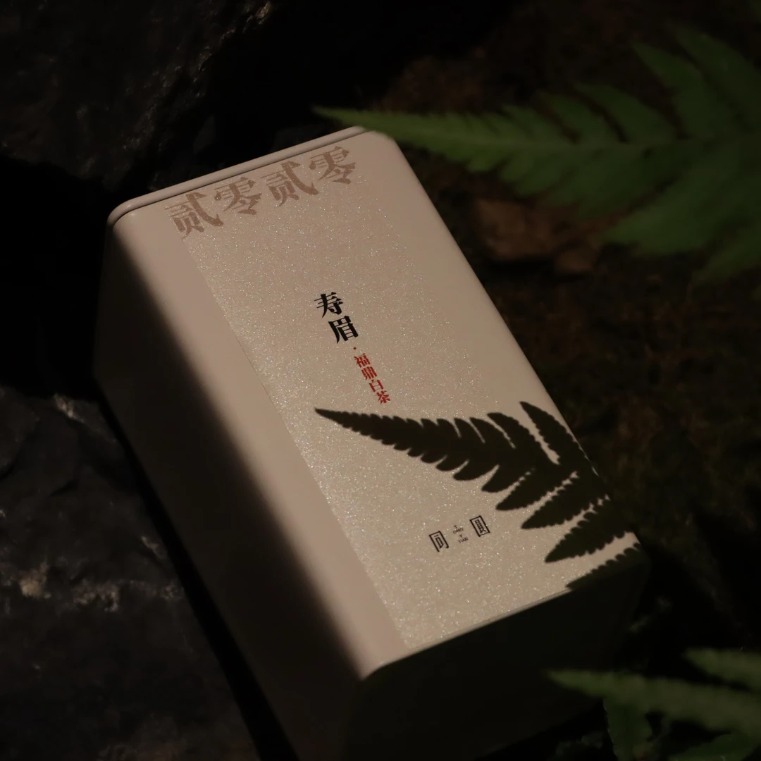 2020年寿眉  （福鼎）