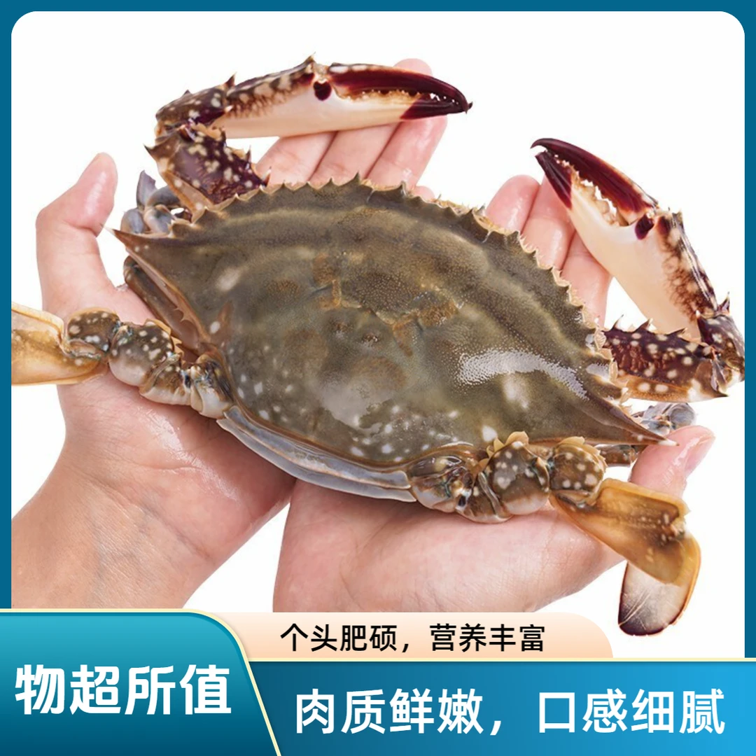 冷水东港带黄梭子蟹 吃肉飞8分肥 3斤（10-12只）保鲜不保活
