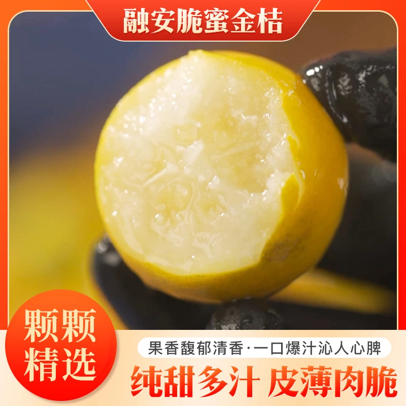 融安脆蜜金桔新鲜第三代纯甜冰糖金桔皮薄新鲜水果小金橘2斤起