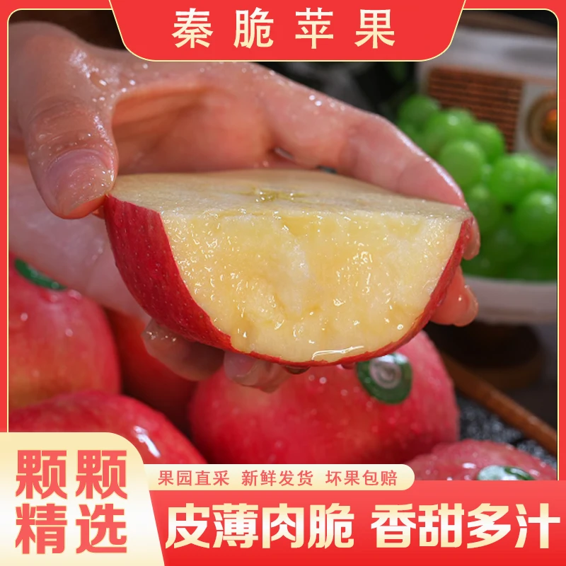 【新疆/陕西双仓发货】秦脆苹果新鲜水果自然成熟皮薄脆甜爽口3斤起