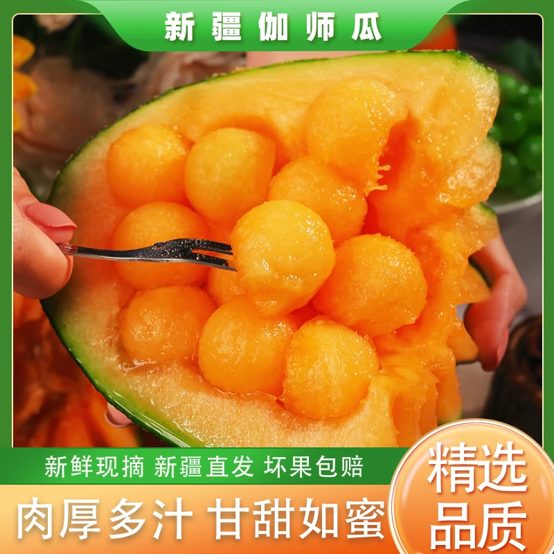【新疆空运】新疆喀什伽师瓜新鲜应季哈密瓜脆爽甘甜产地直发8斤起